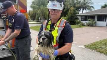 Dog rescued from lift station with raw sewage in Boynton Beach