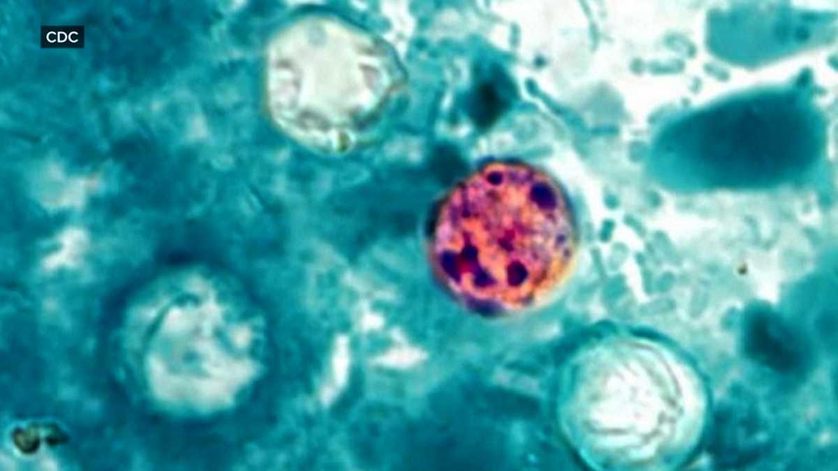 Parasite that causes severe diarrhea a linked to fresh produce, CDC investigates cases in Georgia