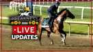 preakness live updates