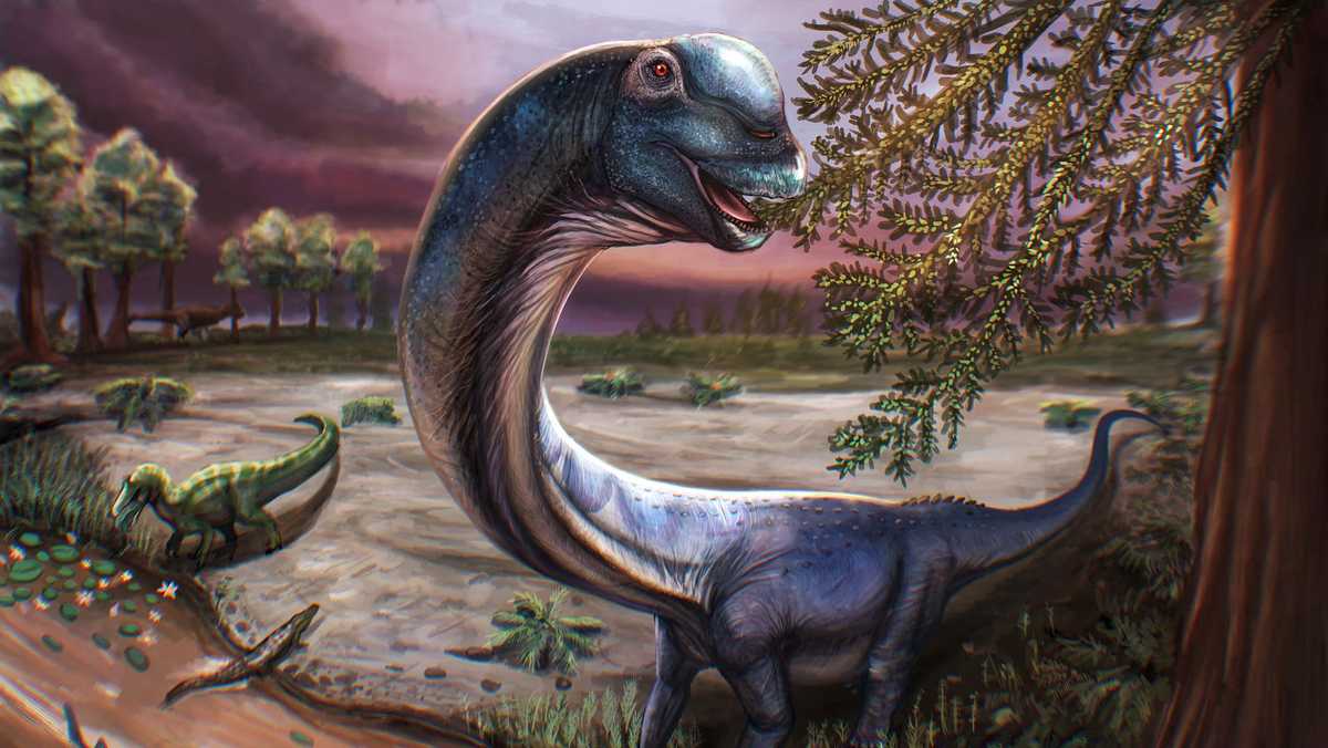 Scientists discover new species of giant dinosaur weighing as much as 9 elephants