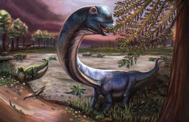 artist's reconstruction of the cretaceous period sauropod dinosaur nagatitan chaiyaphumensis, whose fossilized remains were unearthed in thailand.