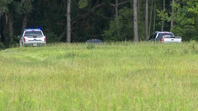 alligator attack in seminole county