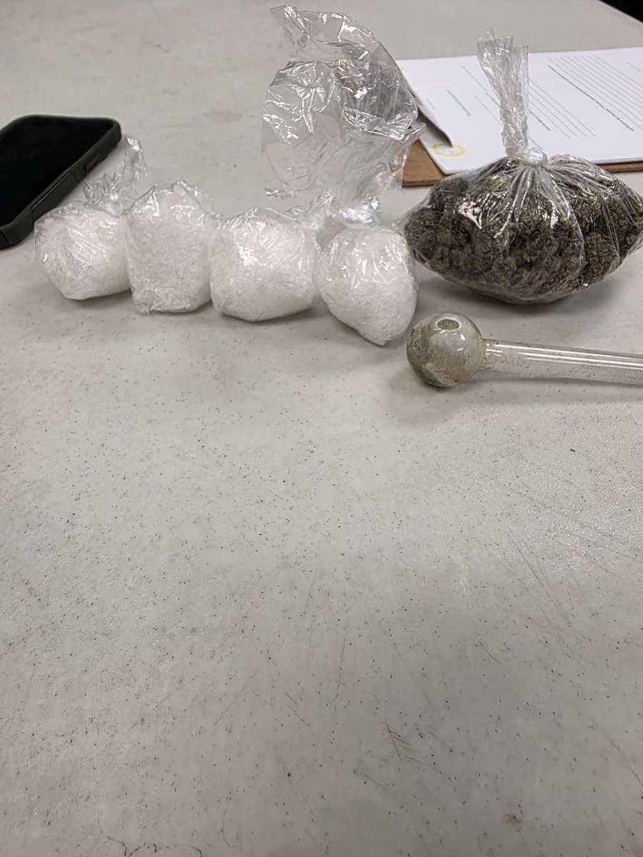 wyff4.com - Stephanie Moore - Traffic stop leads to drug arrest in Upstate, police say