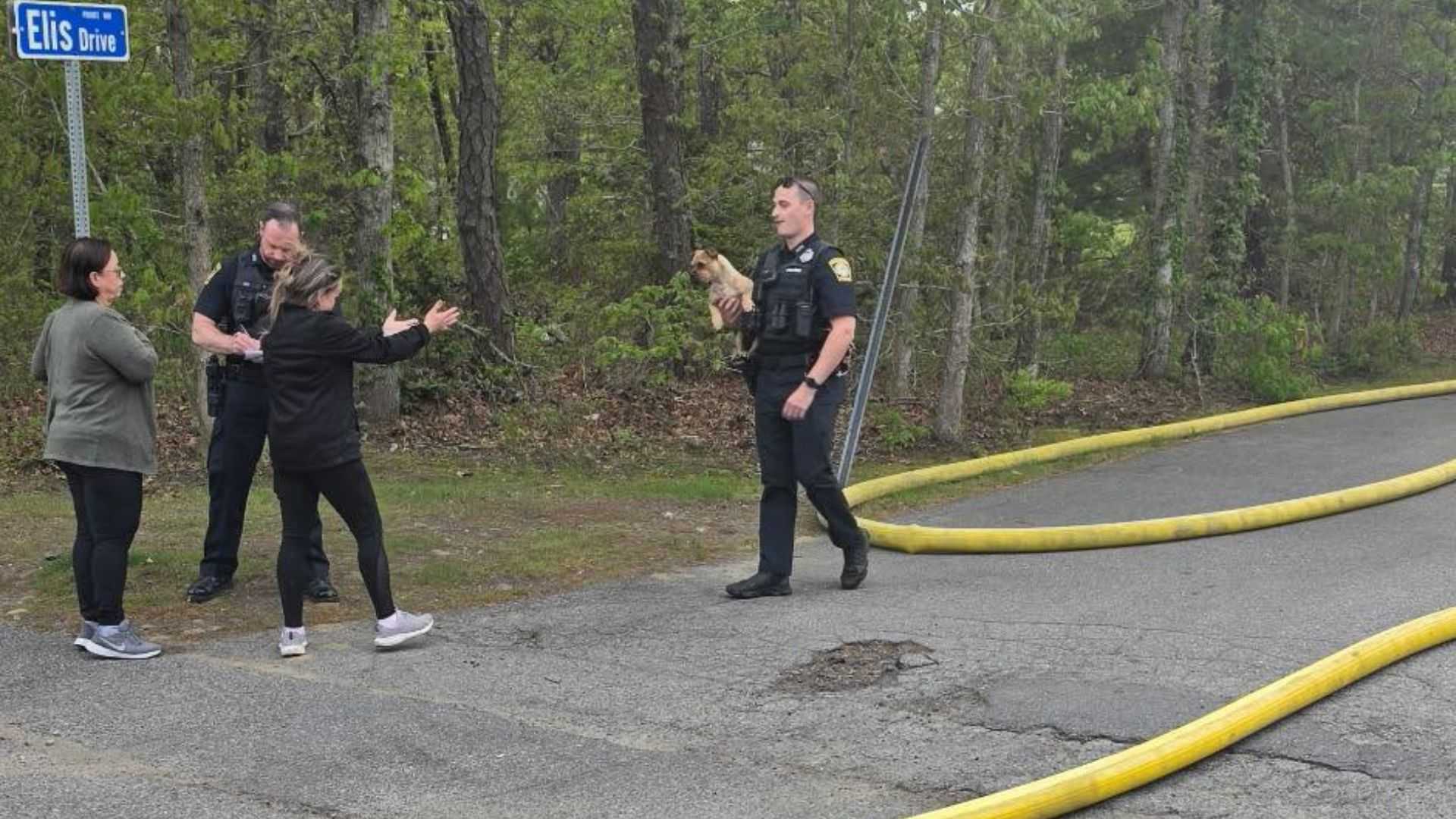 Officers rescue puppy from burning Cape Cod home