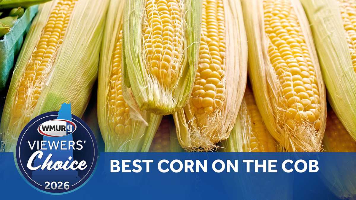 Where can you get the best corn on the cob in New Hampshire?