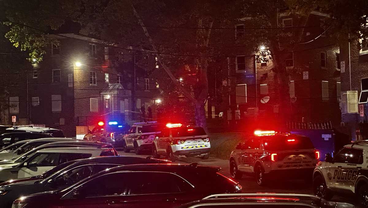 Woman shot and killed in Bedford Dwellings neighborhood