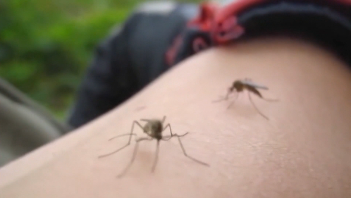 Oklahoma drought reduces mosquito populations but risks persist near water