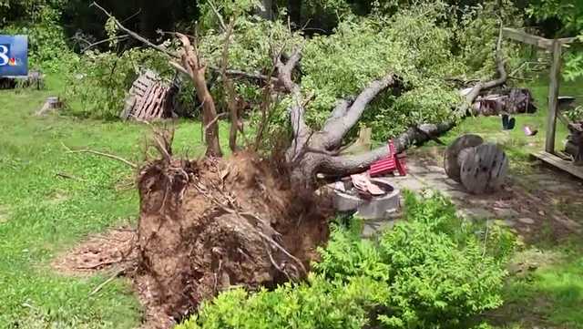 Storm uproots trees and damages property in Lancaster County