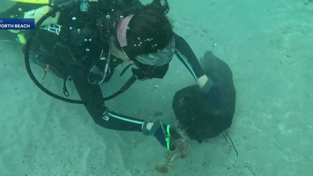 Divers remove debris from Lake Worth Beach pier