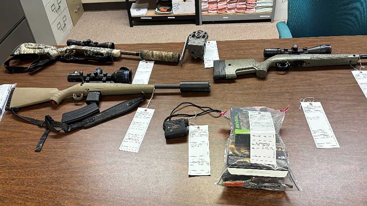 Brandon man fined after deer headlighting, cat killing charges in Madison County