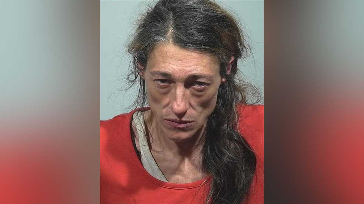 Maine woman hit multiple police cruisers with vehicle, officials say