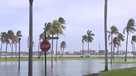 King tides bring flooding to Flagler Drive in West Palm Beach