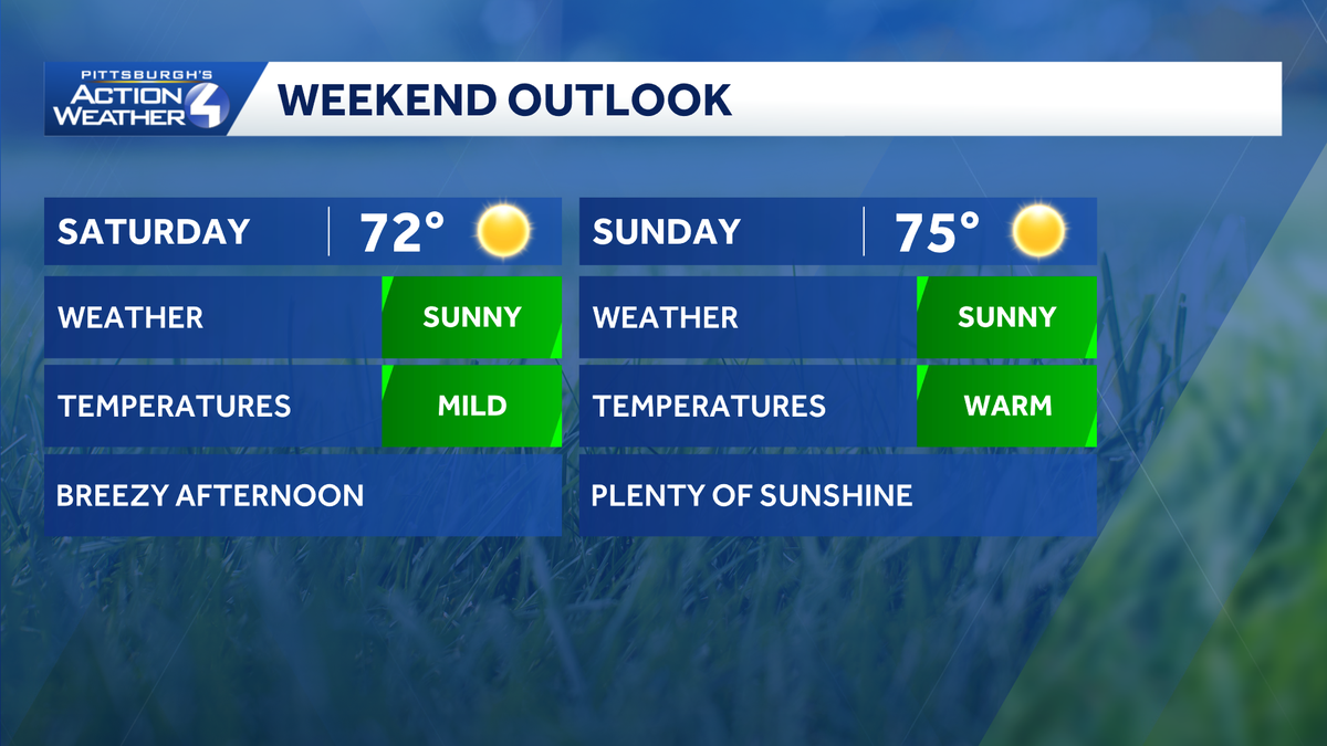 Sunny & comfortable through the weekend