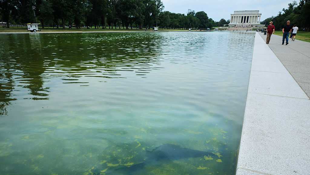 Blue material peeling off bottom of Reflecting Pool, days after completion of costly renovation