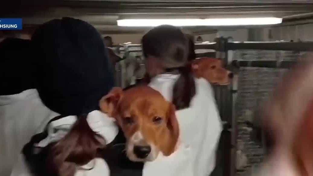 4 activists charged in March break-in at Wisconsin beagle breeding farm