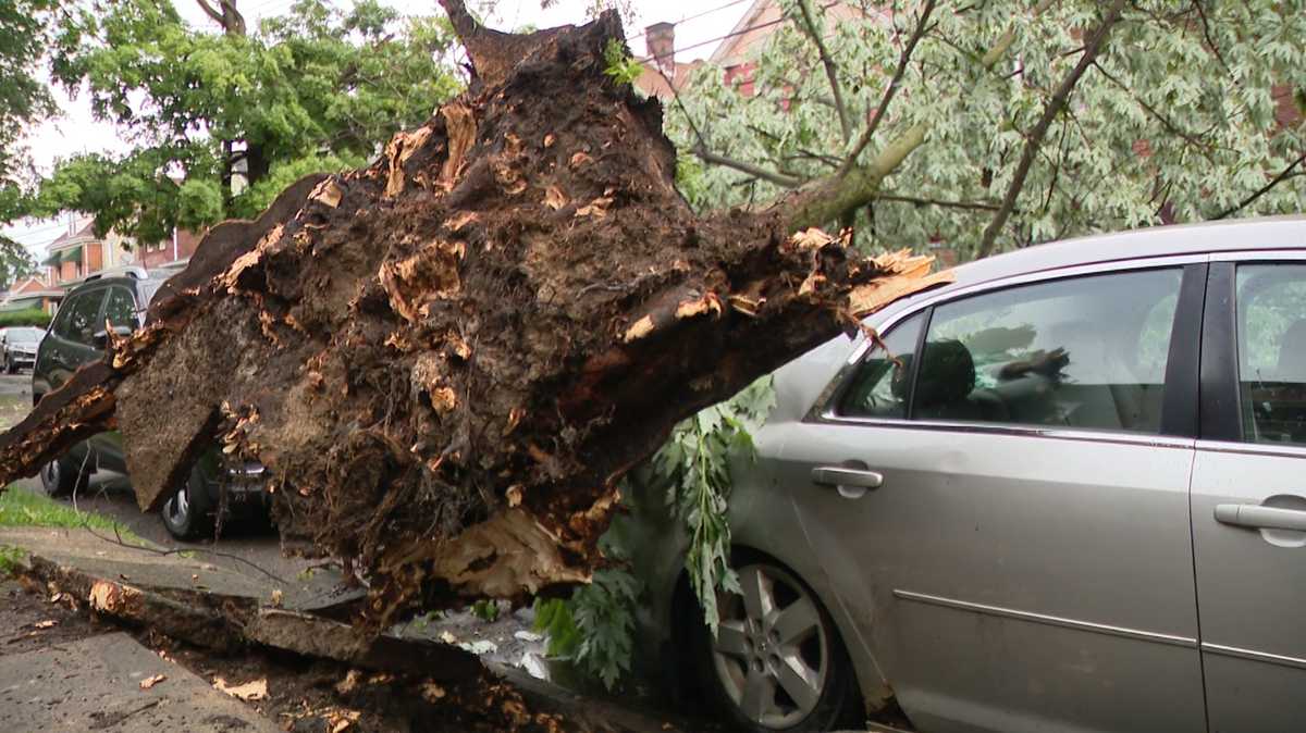 National Weather Service confirms tornado in Western Pa. following storms
