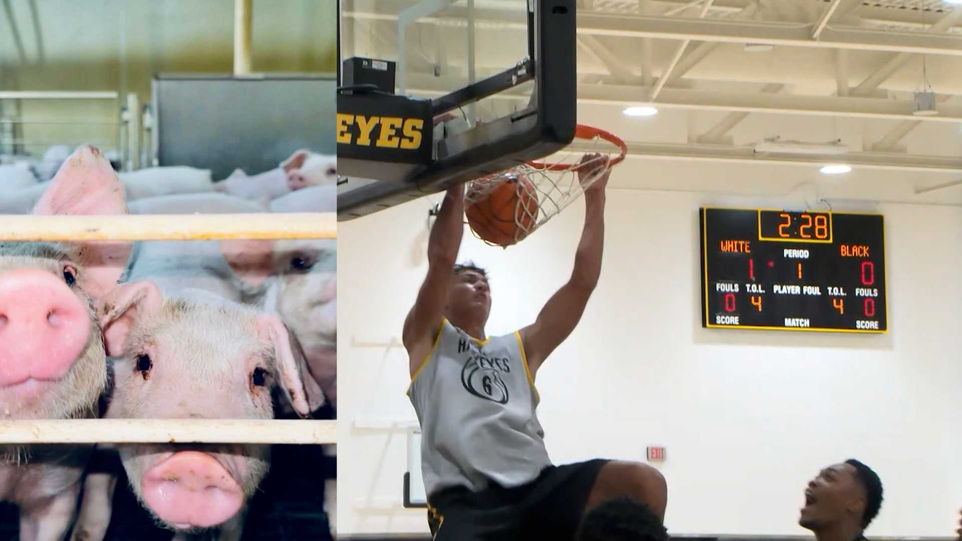 This Hawkeye hooper doubles as a pig farmer