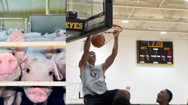 This Hawkeye hooper doubles as a pig farmer