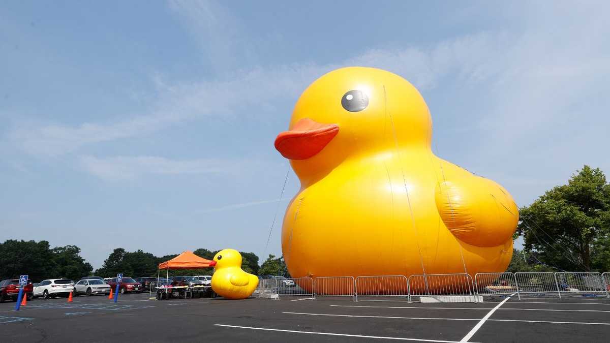 World's largest rubber duck coming to Holiday World for 'Rubber Duck Days'