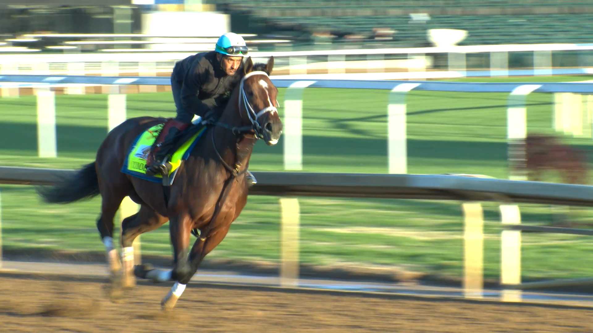 Meet the horses racing in the 152nd Kentucky Derby