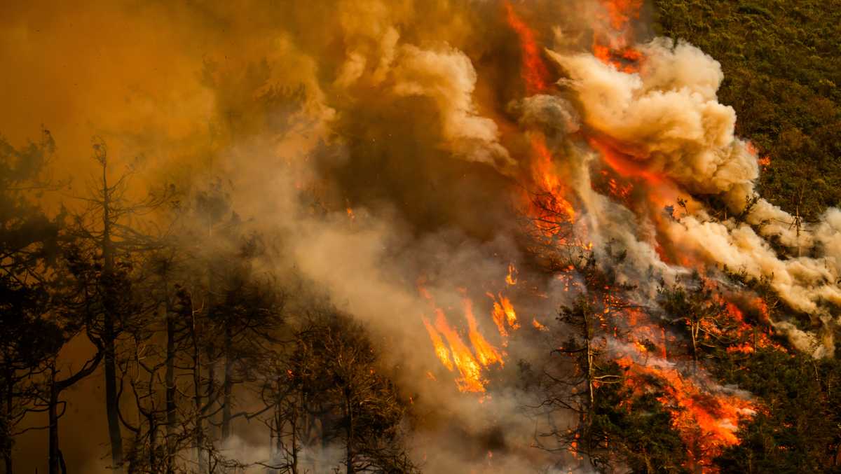 Plaskett Fire near 29,000 acres, surpasses Timber Fire in size