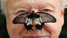 FILE - Butterfly Conservation President Sir David Attenborough poses for a photo with a south east Asian Great Mormon Butterfly on his nose, as he launches the Big Butterfly count at London Zoo, July 11, 2012.