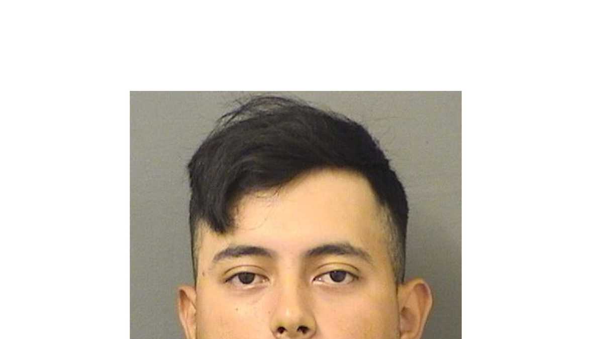 Broward County man charged in West Palm Beach car theft and break-ins