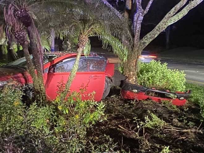 Car crashes into tree on Three Oaks Parkway in Estero