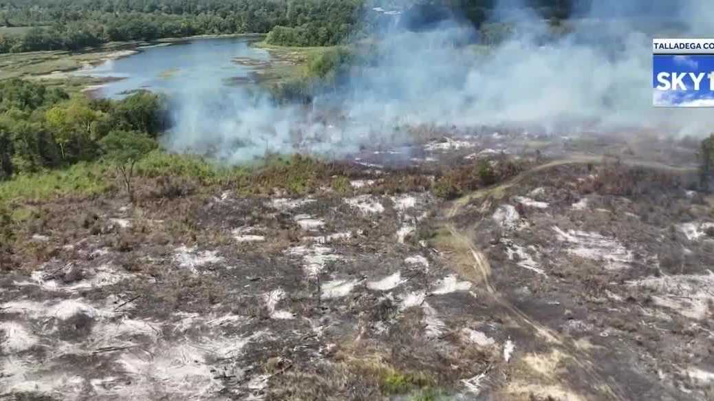 Alabama issues statewide fire alert due to wildfire risks