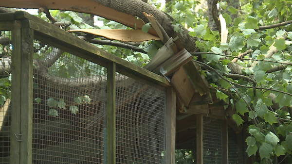 Clermont County communities cleaning up damage after tornado rips through