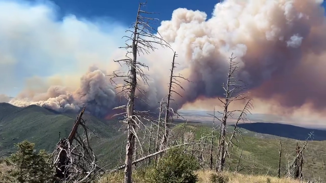 Sacaton Fire in Gila National Forest prompts mandatory evacuations