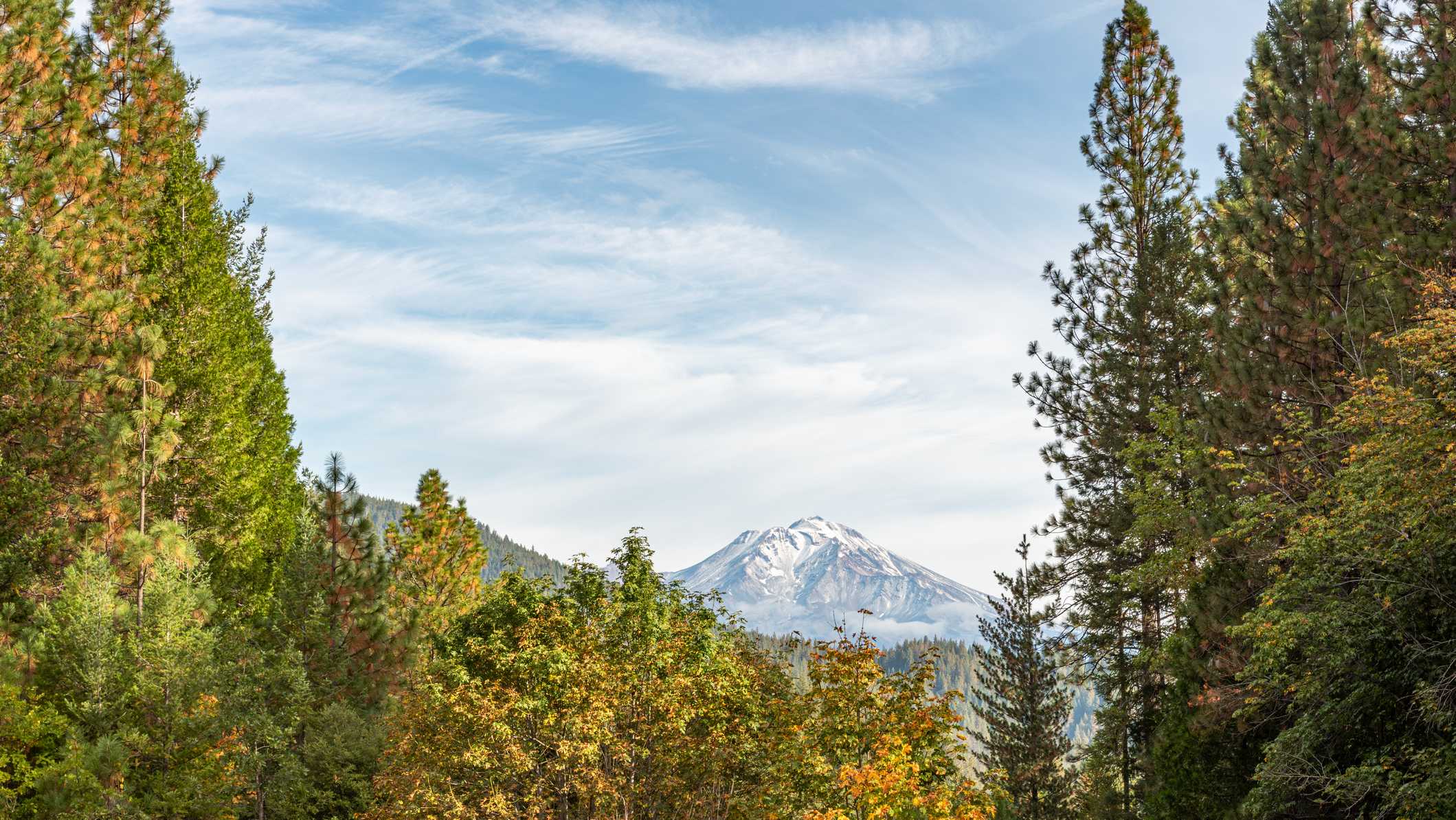 2 U.S. Forest Service workers released after being taken hostage in Shasta-Trinity Forest