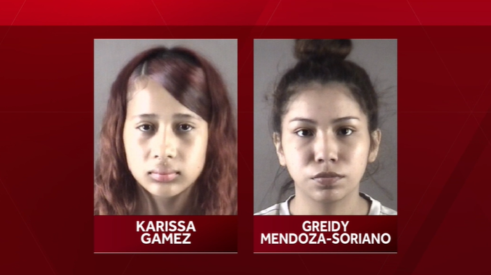 Two teenaged girls charged in Leinbach Park deadly shooting appear in court