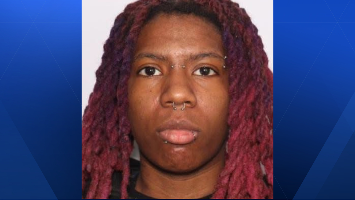 Police searching for woman accused of trying to stab victim with screwdriver