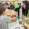 Cockroach races return for the Arkansas Insect Festival