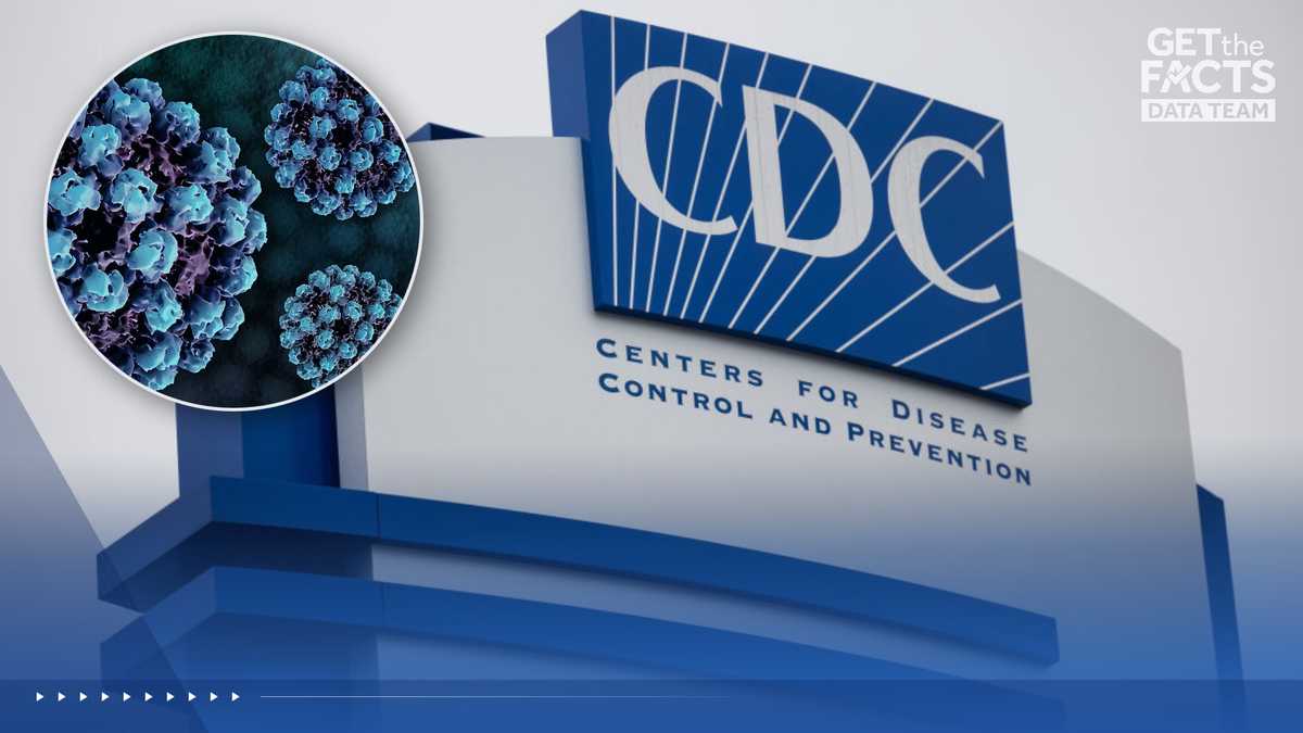 Salmonella, E. coli, norovirus are some of the common foodborne germs