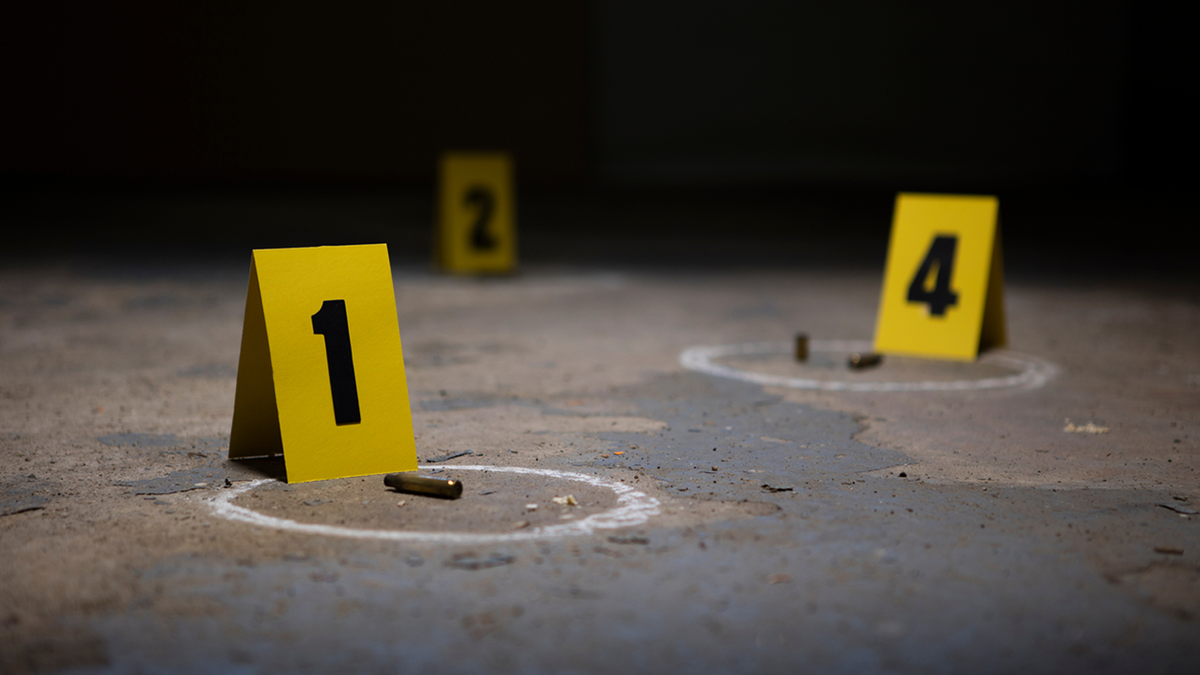 Two Maine women shot and injured in Charleston shooting