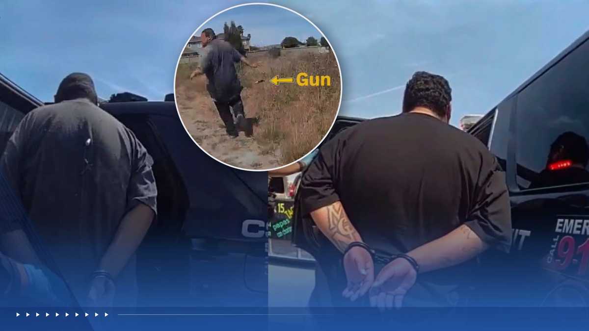 Armed robbery leads to 2 arrests; suspect tased, gun recovered