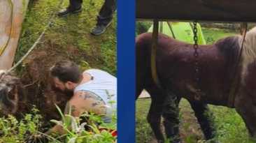 Pony rescued from muddy creek in Lancaster County
