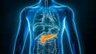 Pancreas
