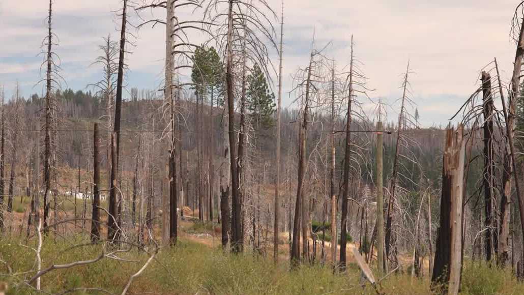 Grizzly Flats homes rebuilt five years after Caldor Fire