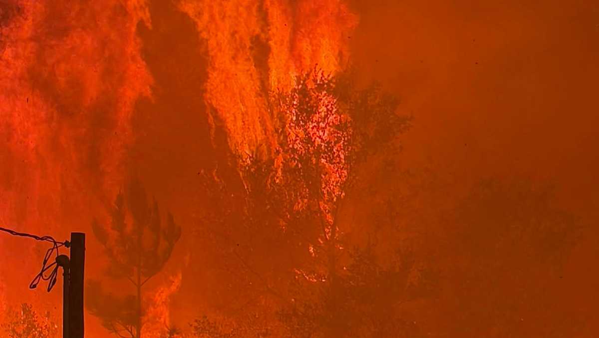 Heavy rain slows Georgia wildfires, even as new blazes start