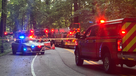 LMPD and LFD