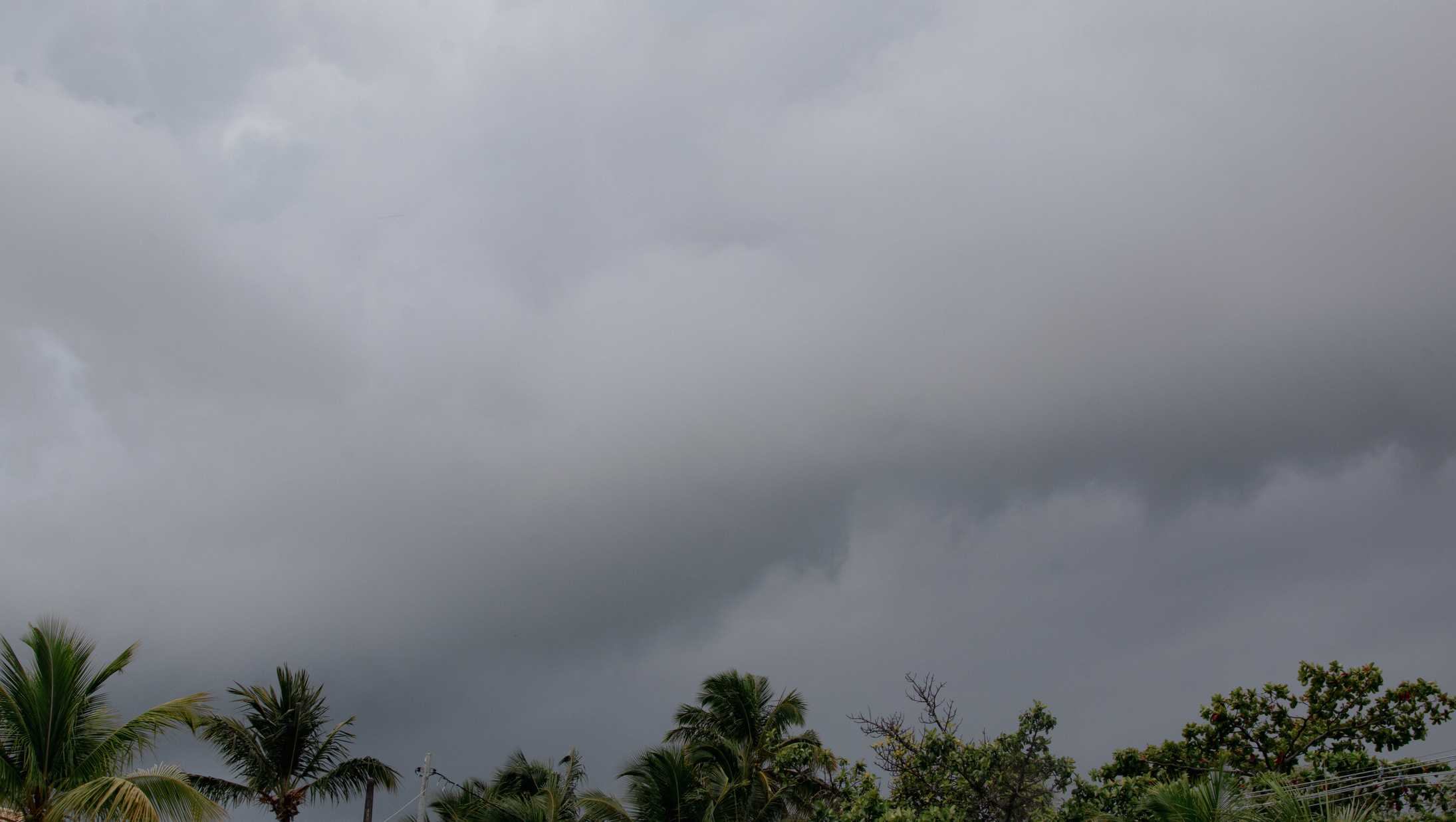 Tropical Storm Arthur forms as year's first in the Atlantic, packing major rainfall for Gulf Coast