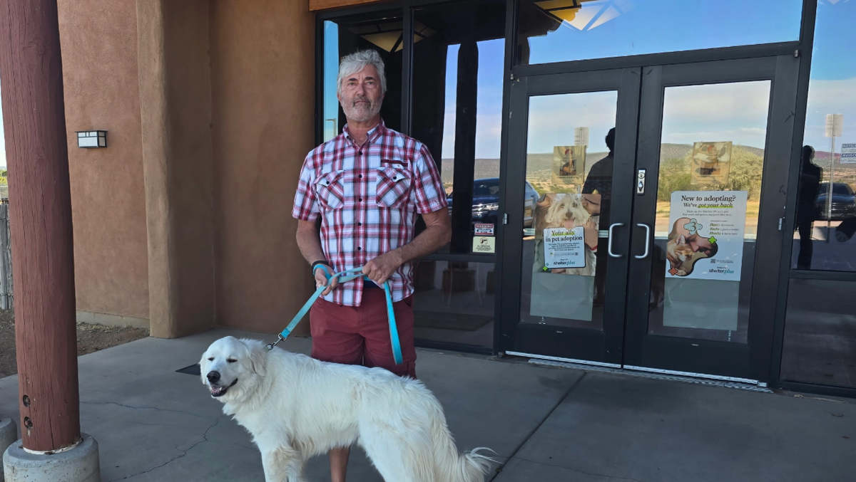Kimbo is safe: Santa Fe dog facing euthanasia gets second chance