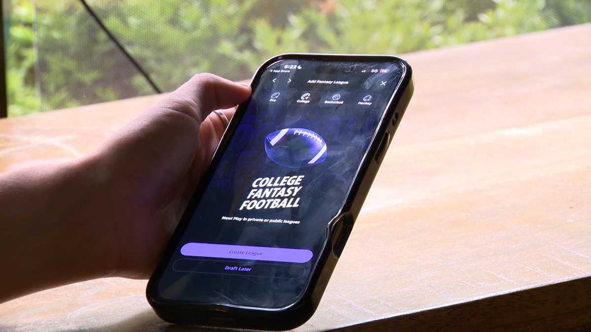 Sports fans react to Pennsylvania paid fantasy sports age bill - WGAL