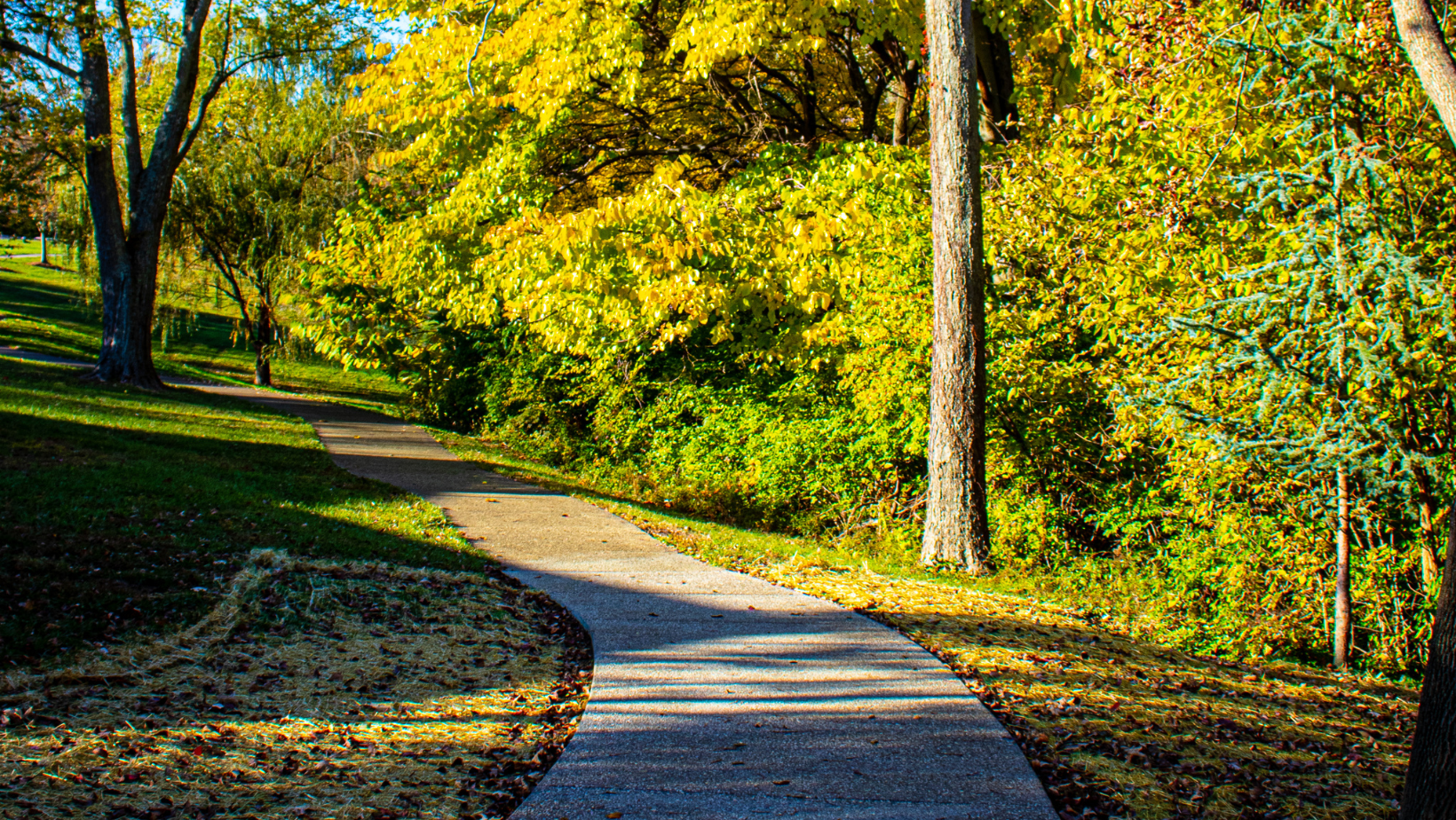 Florence asks for proposals on art installations for Nature Park