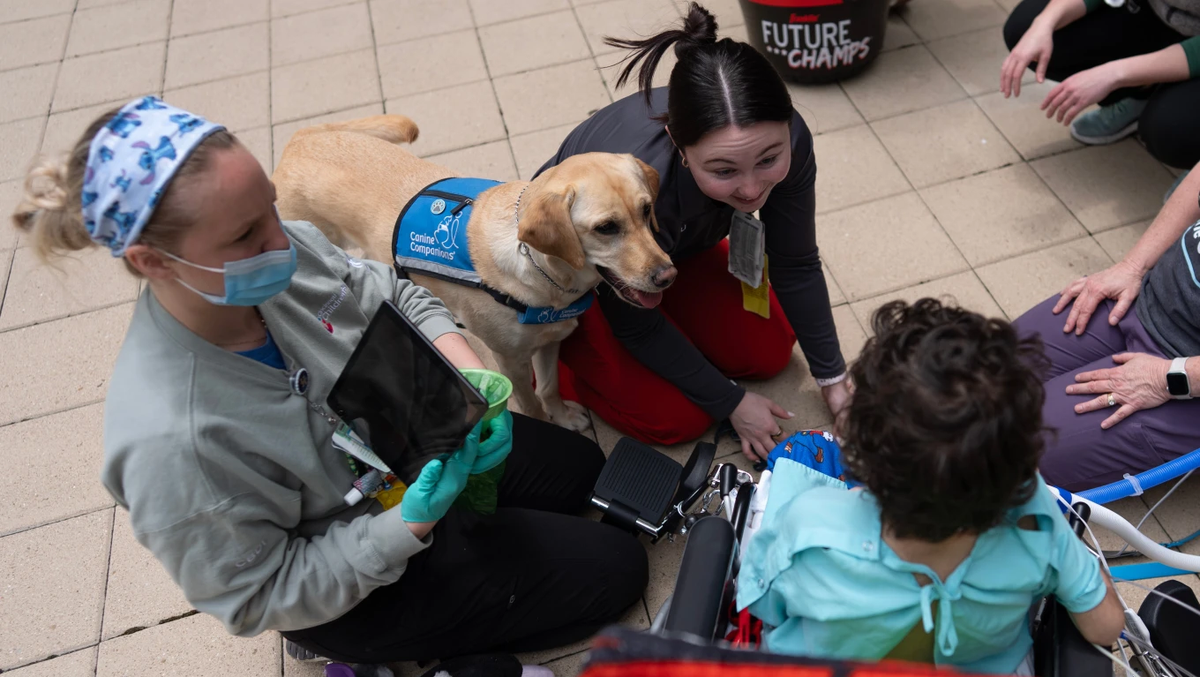 Good dog! Cincinnati Children’s Hospital turns to furry caregivers to help kids heal