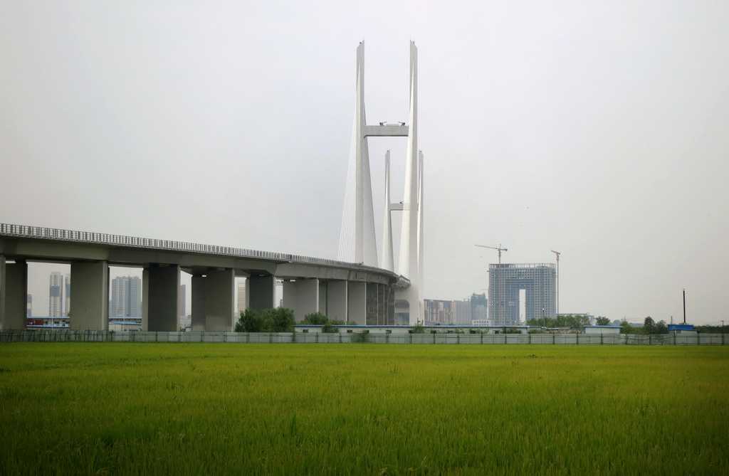 Photo Caption