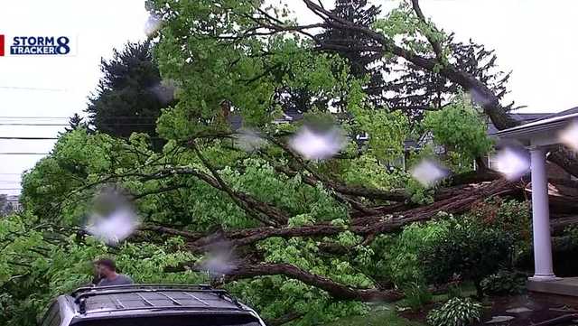 Storms sweep through Susquehanna Valley, toppling tree in Lancaster County